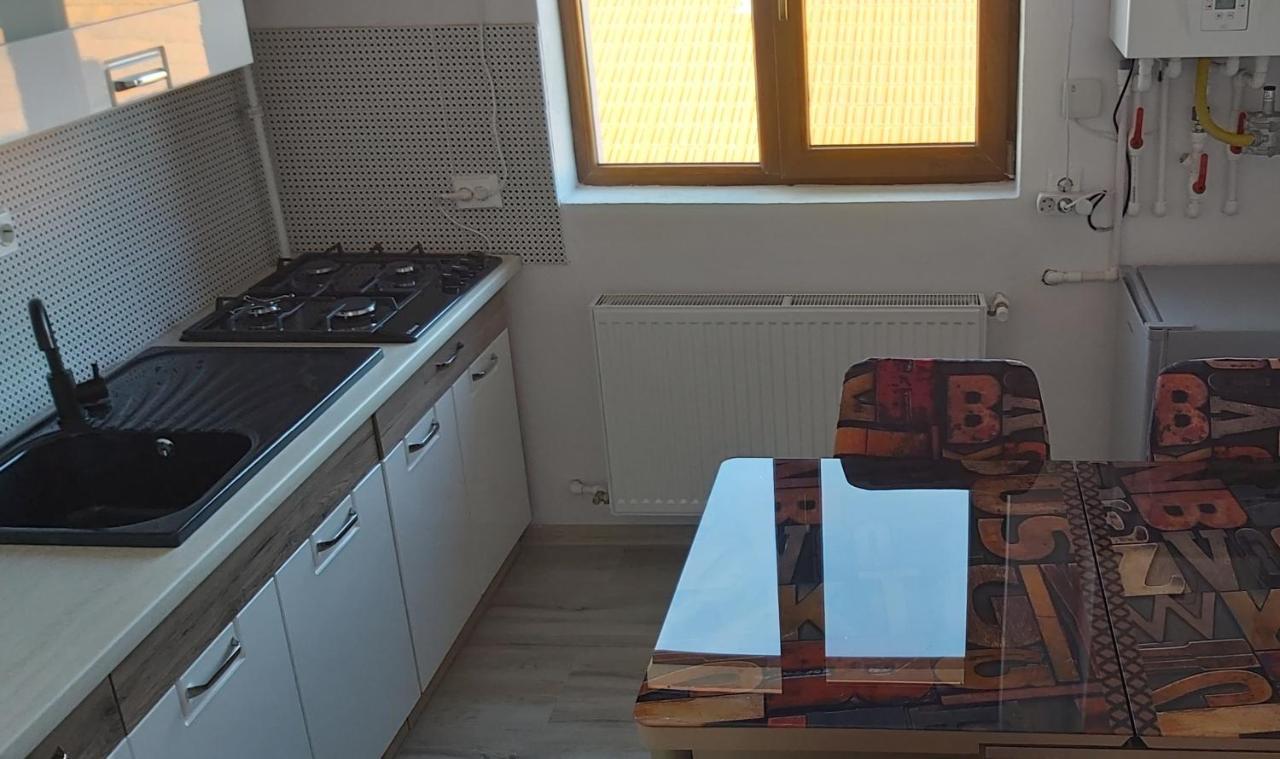 Studio Elisa Leilighet Caransebeş Eksteriør bilde